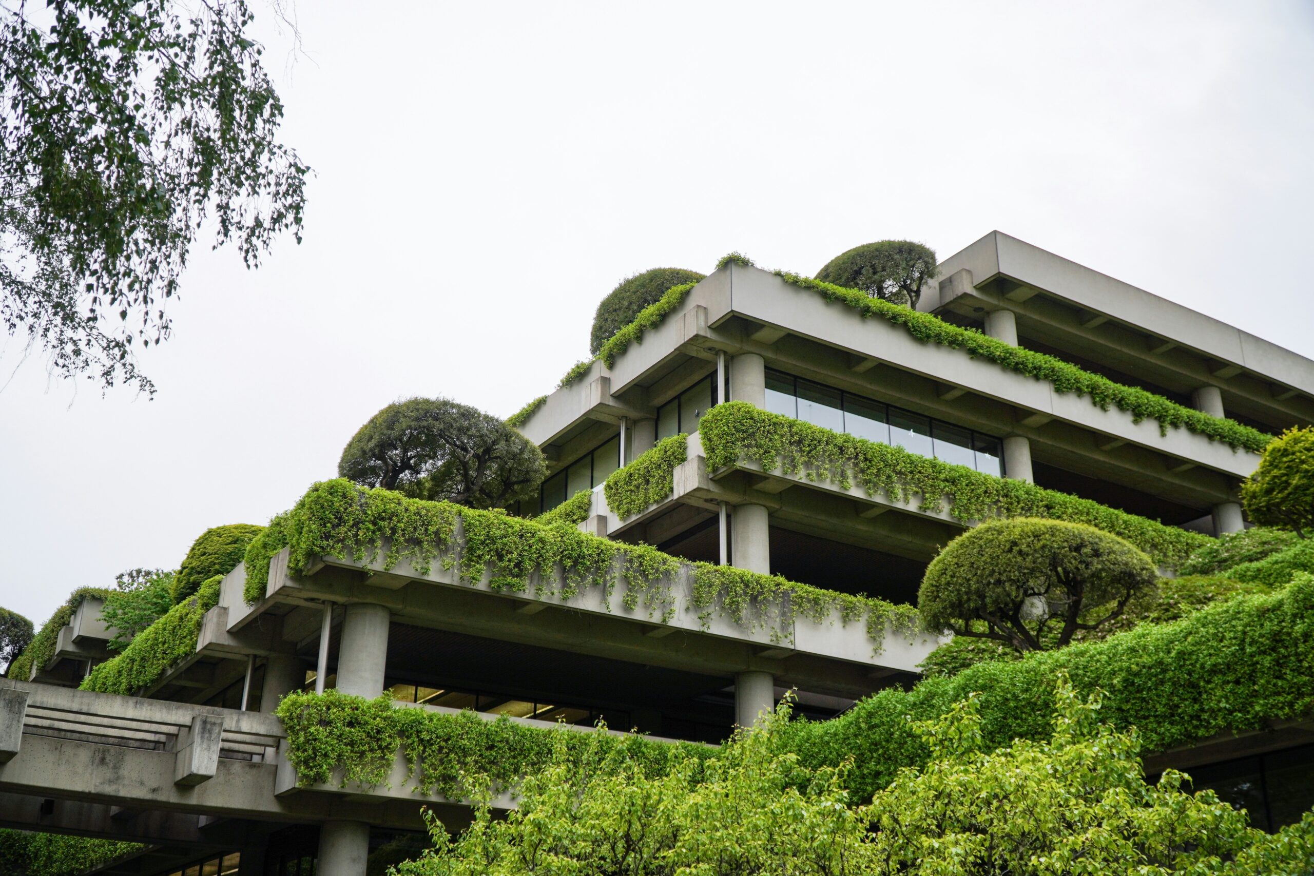 Monika Von Hofmann-Environmental Management