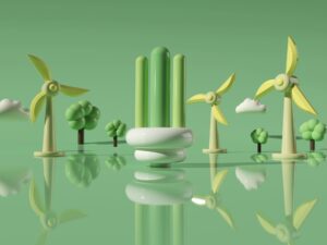 environmental management